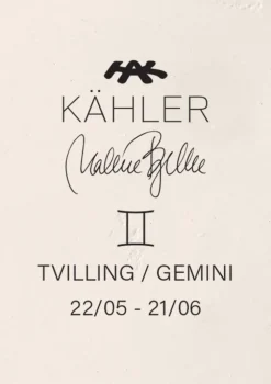 Tvillingene H24